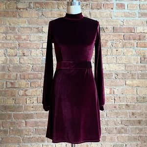 BNWT Velvet Dress in Burgundy